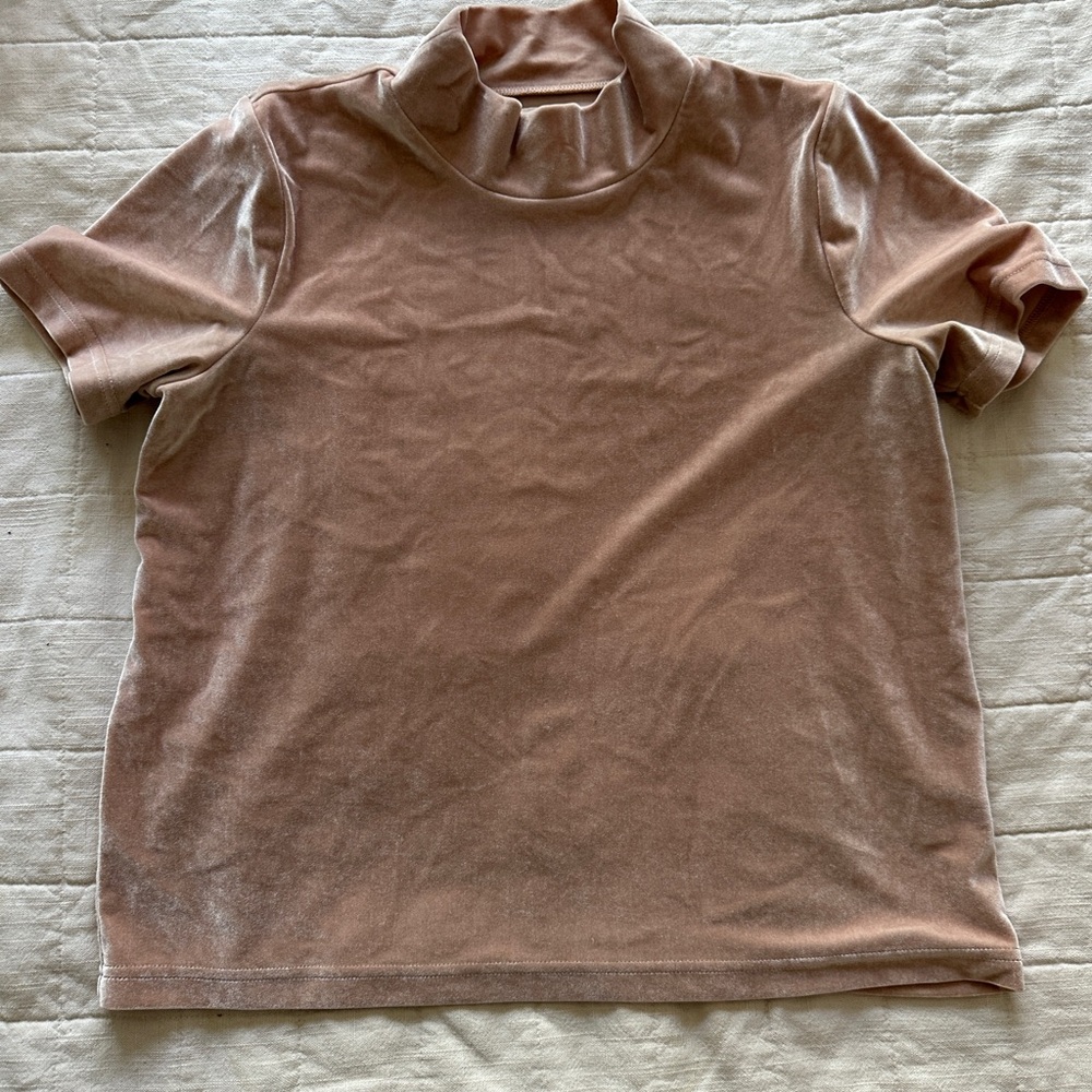 Madewell Velvet Mock Neck Top in Blush